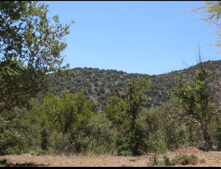 Commercial Property for Sale in Brits North West